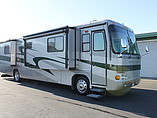 04 Safari Cheetah
