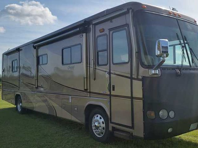 05 Safari Cheetah