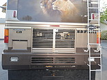 2000 Safari Serengeti Photo #11