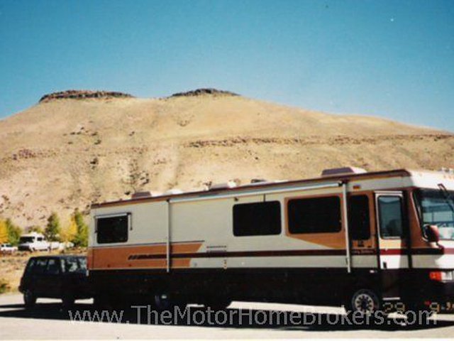 1997 Safari Ivory Photo