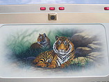 2000 Safari Zanzibar Photo #3