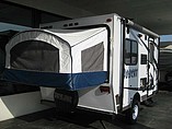13 Skyline Bobcat
