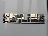 2015 Skyline Trident Photo #6