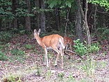 2006 SunnyBrook Photo #10