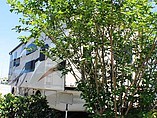 2016 Thor Motor Coach A.C.E. Photo #9