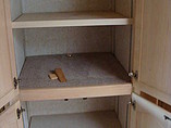 2000 Tiffin Allegro Bus Photo #3
