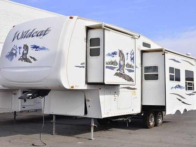 2008 Wildcat Wildcat Photo