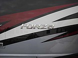 2015 Winnebago Forza Photo #4